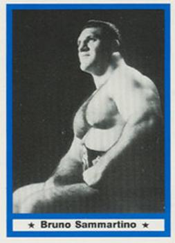 1991 Imagine Wrestling Legends #60 Bruno Sammartino Front