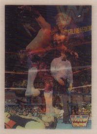1990 WWF Hasbro Flip Cards #NNO Brutus 