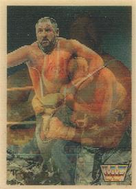 1990 WWF Hasbro Flip Cards #NNO The Bushwhackers Front