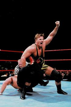 1999 Comic Images WWF Wrestlemania Live Photocards #42 Owen Hart Front