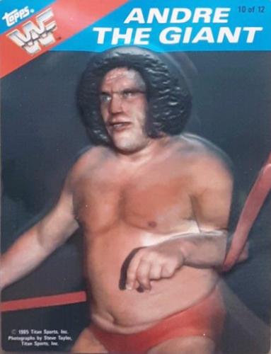 1985 Topps WWF 3-D #10 Andre The Giant Front
