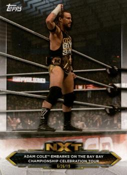 2020 Topps WWE NXT #4 Adam Cole Front