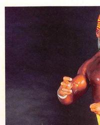 1992 Merlin WWF Stickers (England) #2 Hulk Hogan Front