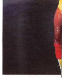 1992 Merlin WWF Stickers (England) #4 Hulk Hogan Front