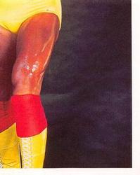 1992 Merlin WWF Stickers (England) #5 Hulk Hogan Front