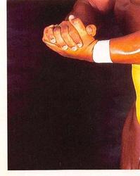 1992 Merlin WWF Stickers (England) #8 Hulk Hogan Front