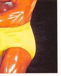 1992 Merlin WWF Stickers (England) #9 Hulk Hogan Front