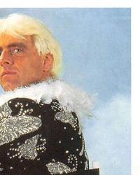 1992 Merlin WWF Stickers (England) #46 Ric Flair Front