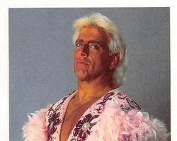 1992 Merlin WWF Stickers (England) #51 Ric Flair Front