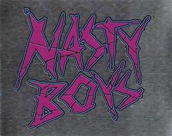 1992 Merlin WWF Stickers (England) #212 Nasty Boys Front