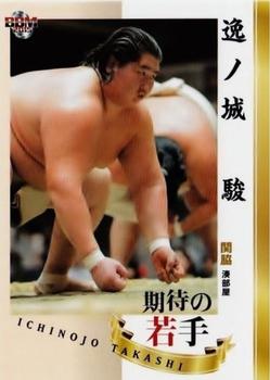 2015 BBM Sumo #72 Ichinojo Takashi Front