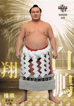 2017 BBM Sumo - Tamashi #1 Hakuho Sho Front
