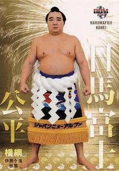 2017 BBM Sumo - Tamashi #3 Harumafuji Kohei Front