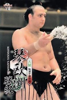 2013 BBM Sumo #6 Kotooshu Katsunori Front