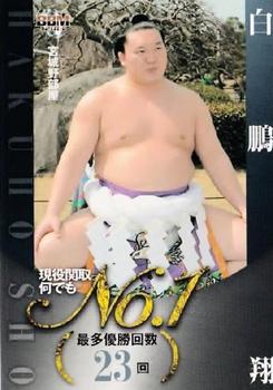 2013 BBM Sumo #90 Hakuho Sho Front