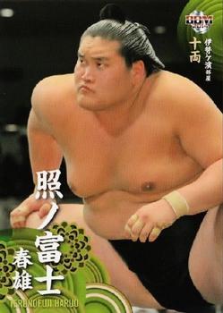 2014 BBM Sumo #46 Terunofuji Haruo Front