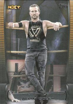 2021 Topps WWE Undisputed - Gold #49 Adam Cole Front