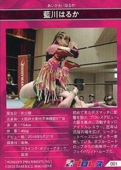 2022 BBM Women's Pro Wrestling #001 Haruka Aikawa Back