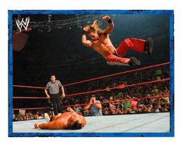 2008 Merlin WWE Heroes Stickers #29 Shawn Michaels Front
