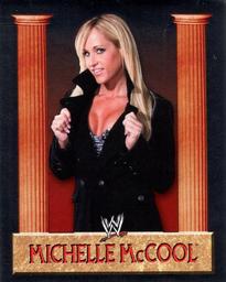2008 Merlin WWE Heroes Stickers #43 Michelle McCool Front