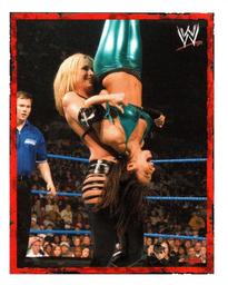 2008 Merlin WWE Heroes Stickers #45 Michelle McCool Front