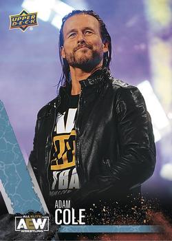 2021 Upper Deck AEW - First Edition Previews #PP-1 Adam Cole Front