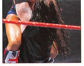 1997 Panini WWF Superstars Stickers #7 British Bulldog / The Undertaker Front