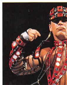 1997 Panini WWF Superstars Stickers #20 Shawn Michaels Front