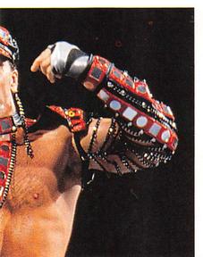 1997 Panini WWF Superstars Stickers #21 Shawn Michaels Front