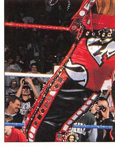 1997 Panini WWF Superstars Stickers #22 Shawn Michaels Front