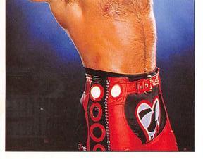 1997 Panini WWF Superstars Stickers #28 Shawn Michaels Front