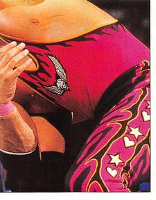 1997 Panini WWF Superstars Stickers #48 Steve Austin / Bret Hart Front