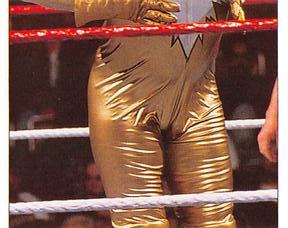 1997 Panini WWF Superstars Stickers #54 Goldust Front