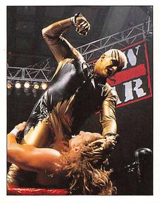 1997 Panini WWF Superstars Stickers #58 Goldust / Triple H Front