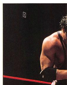 1997 Panini WWF Superstars Stickers #68 Bret Hart / Owen Hart Front