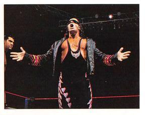 1997 Panini WWF Superstars Stickers #73 Bret Hart Front