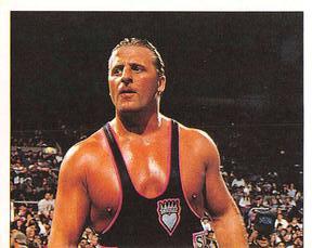 1997 Panini WWF Superstars Stickers #139 Owen Hart Front