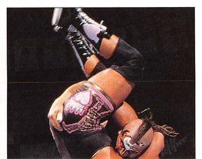 1997 Panini WWF Superstars Stickers #144 Road Warrior Animal / Owen Hart Front