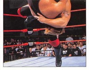 1997 Panini WWF Superstars Stickers #145 Road Warrior Animal / Owen Hart Front