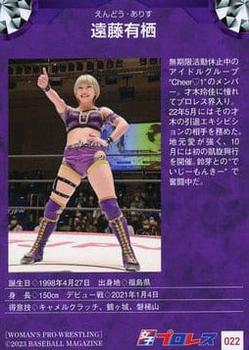 2023 BBM Women's Pro Wrestling #022 Arisu Endo Back