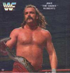 1988 Quaker Dipps WWF #12 Jake 