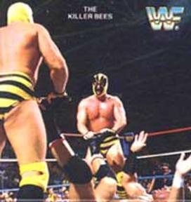 1988 Quaker Dipps WWF #16 The Killer Bees Front