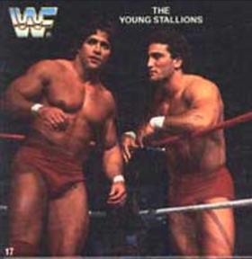 1988 Quaker Dipps WWF #17 The Young Stallions Front