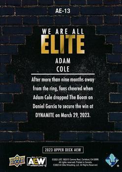 2023 Upper Deck AEW - We Are All Elite Silver #AE-13 Adam Cole Back