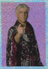 1999 Panini WCW/NWO Stickers #5 Ric Flair Front