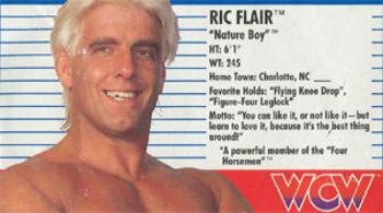 1990-91 Galoob WCW Figure Cards #NNO Ric Flair Front