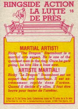 1985 O-Pee-Chee WWF Pro Wrestling Stars Series 2 #16 Martial Artist! Back