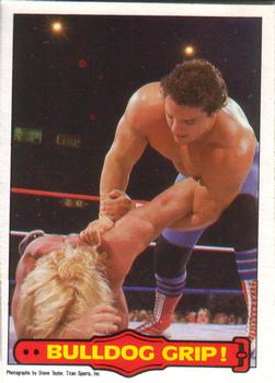 1985 O-Pee-Chee WWF Pro Wrestling Stars Series 2 #38 Bulldog Grip! Front