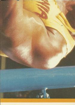 1987 Topps WWF - Stickers #14 Mr. Fuji / Killer Khan Back