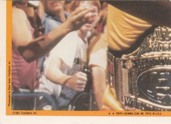 1987 Topps WWF - Stickers #16 Danny Davis  Back